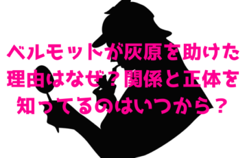 ベルモットが灰原を助けた理由はなぜ？関係と正体を知ってるのはいつから？